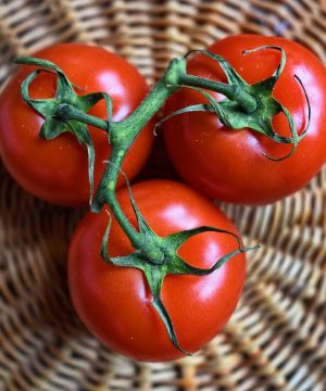 Knoblauchsländer Gemüse Böcklein - frisches Gemüse und Obst aus der Metropolregion Nürnberg/Fürth/Erlangen - frische Tomaten, Großhandel